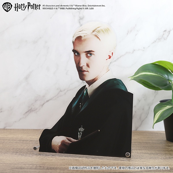 [Pre-order] [Made to Order] Harry Potter Extra Large Die-Cut Acrylic Panel (Draco Malfoy) 